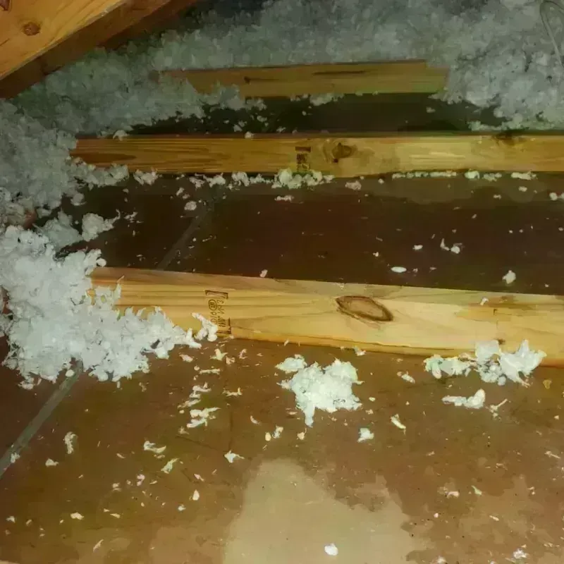 Attic Water Damage in Oak Leaf, TX