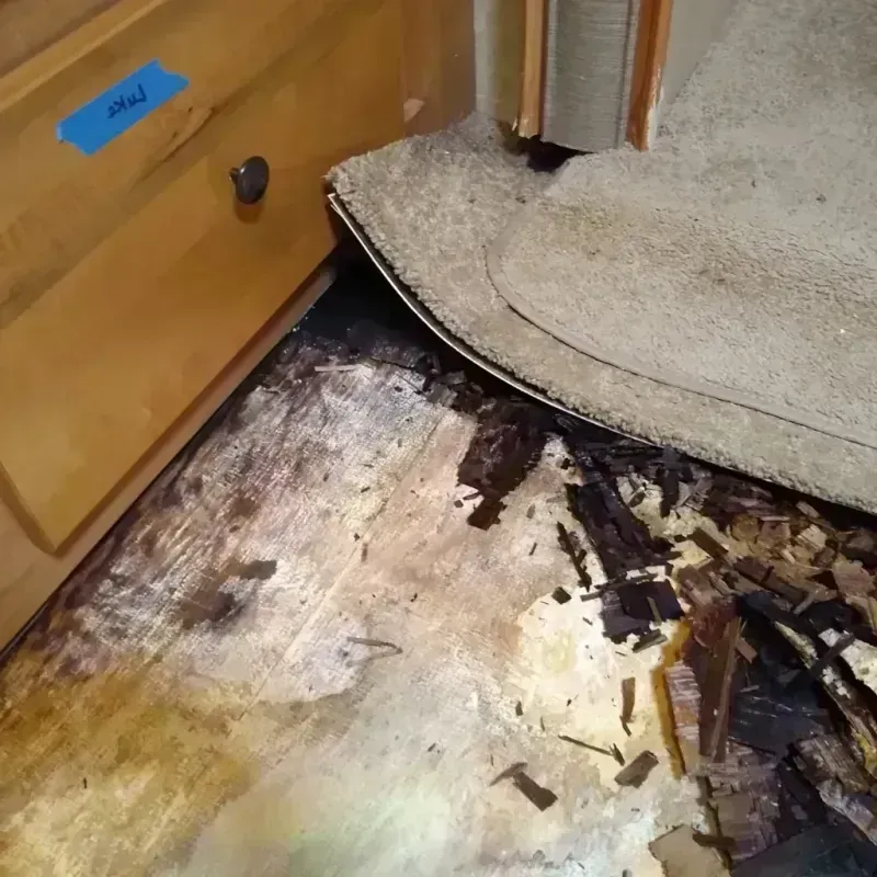 Wood Floor Water Damage in Oak Leaf, TX